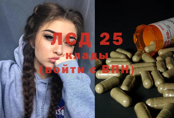 шишки Бронницы