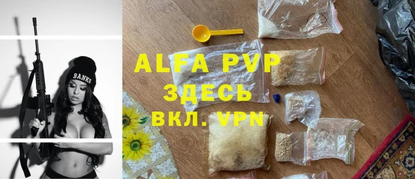 ешки Бородино