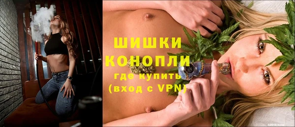 ешки Бородино